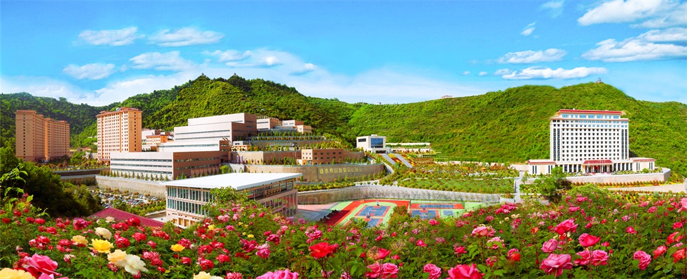 三季有花、四季常青的金徽股份.jpg