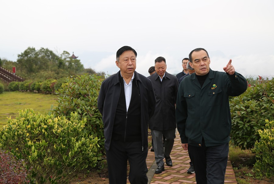 19-2021年10月，原國土資源部副部長汪民蒞臨公司調(diào)研。.jpg