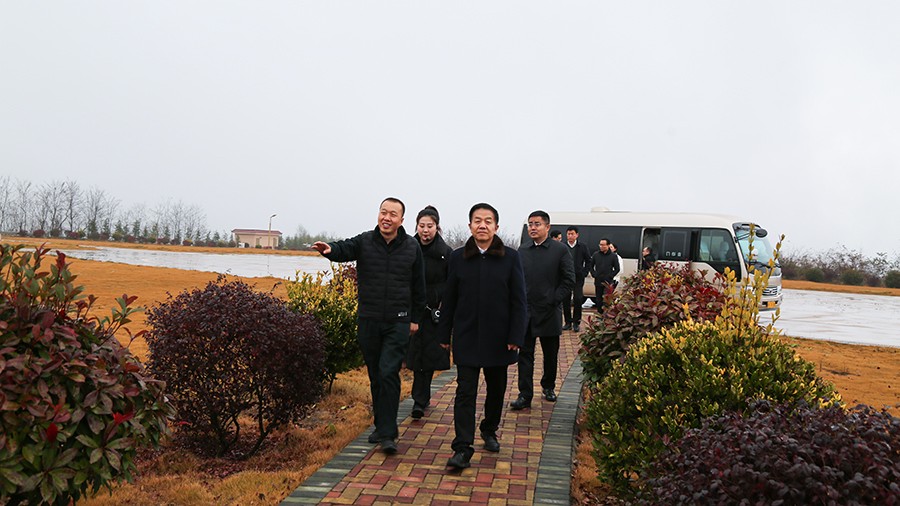 45-2020年12月，省高級人民法院黨組成員、副院長任建國蒞臨金徽股份調(diào)研知識產(chǎn)權(quán)司法保護工作。.jpg