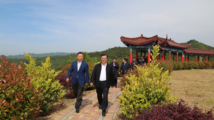 省人民檢察院黨組書記、檢察長朱玉調(diào)研金徽股份